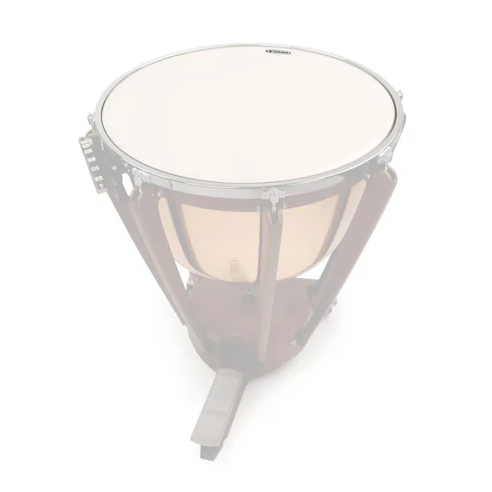 Evans Head Timpani Orchestral 21 Zoll bei Musik-Dinge Wien