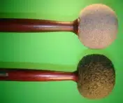 D5