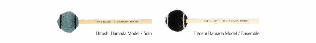 Hitoshi Hamada Model Ensemble.png