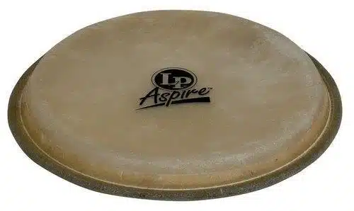 LP881100.jpg